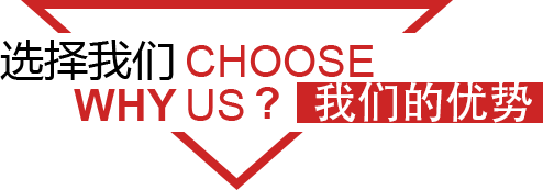 我們的優(yōu)勢(shì)